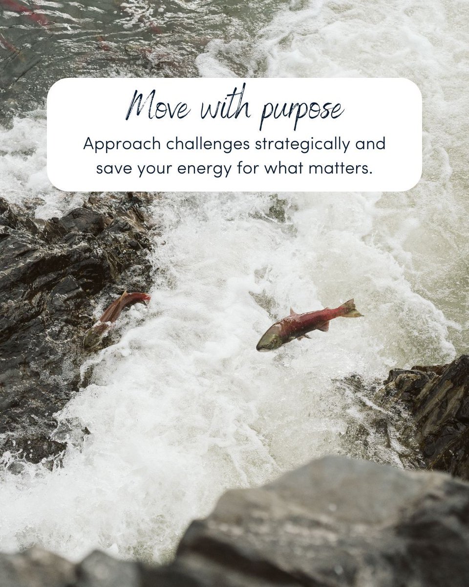 PACIFIC SALMON FOUNDATION tweet media