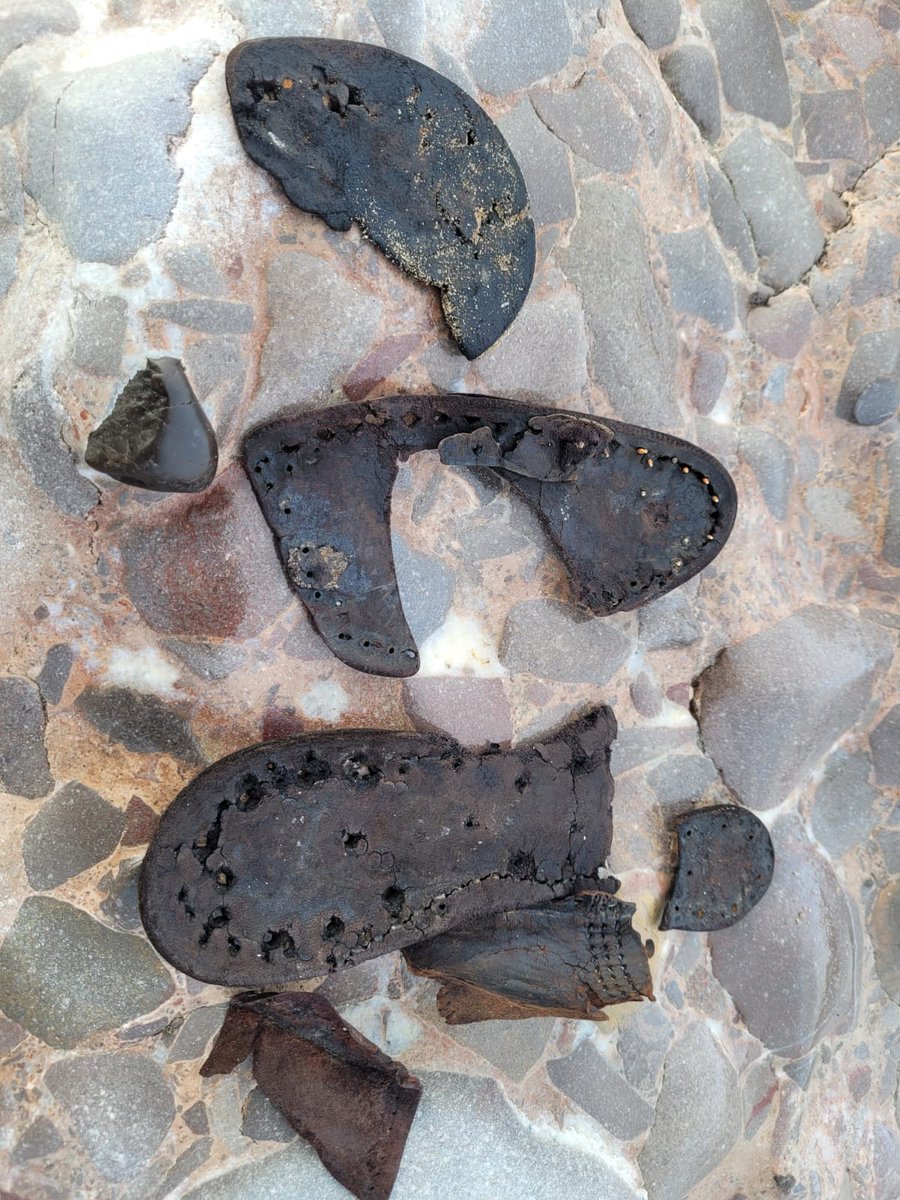 clare e. potter tweet media