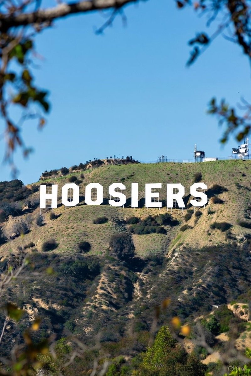 Zander Diamont tweet media