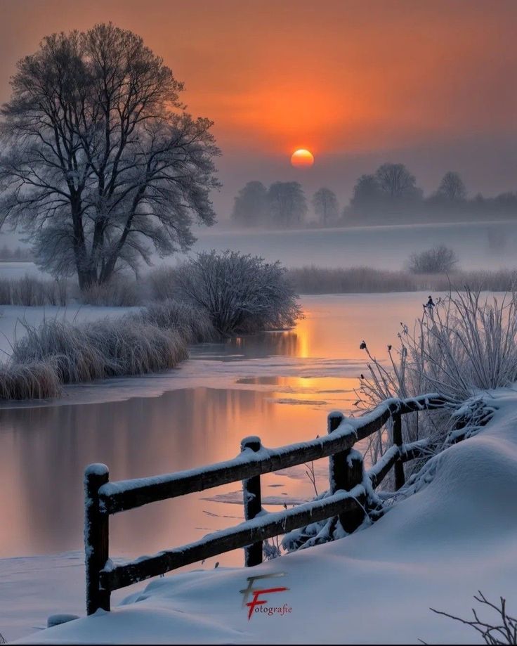 Gentleman (@gentleman_1965) on Twitter photo 