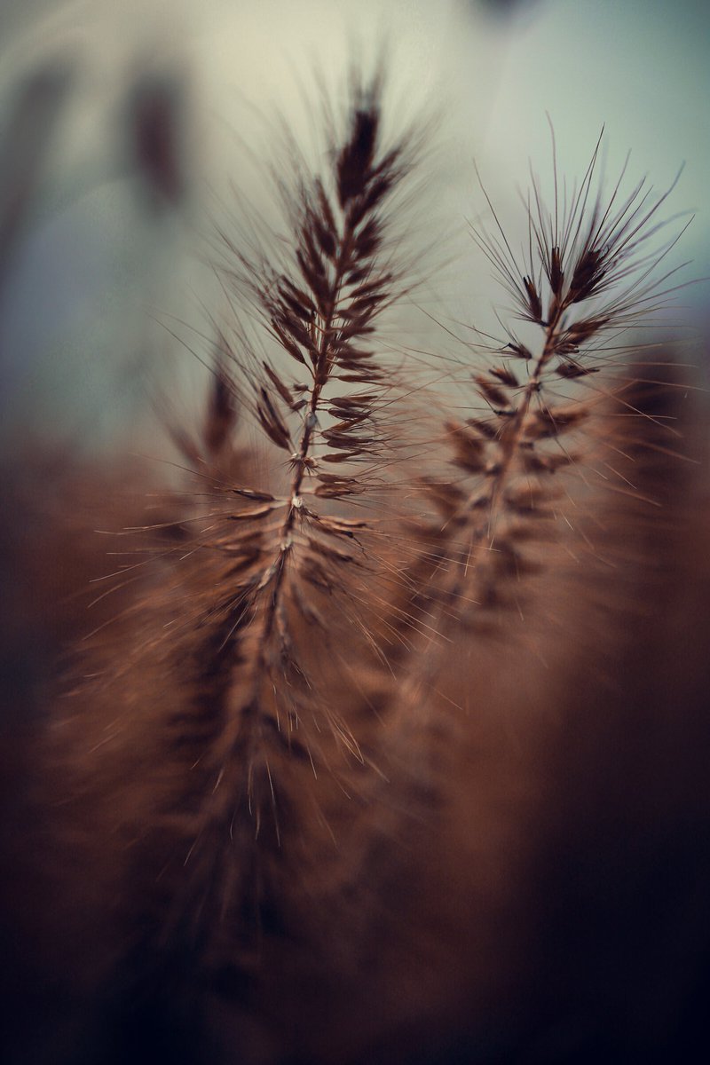 <a href="/Sam_Alexandra23/">Stephanie Alexandra</a> Happy New Year everyone! Hope 2026 will be a fantastic one for all of you. Here are my favourites from past few days.