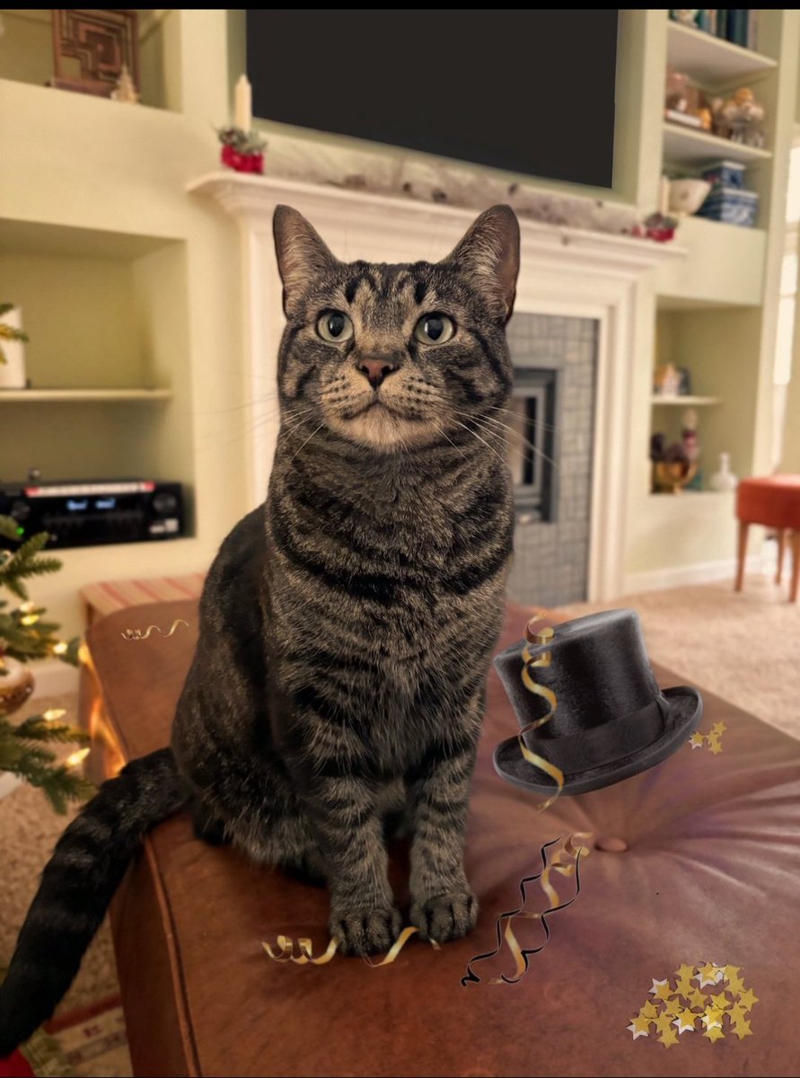 MinnieTheGood's tweet image. I did not ring in the new year; I supervised it!