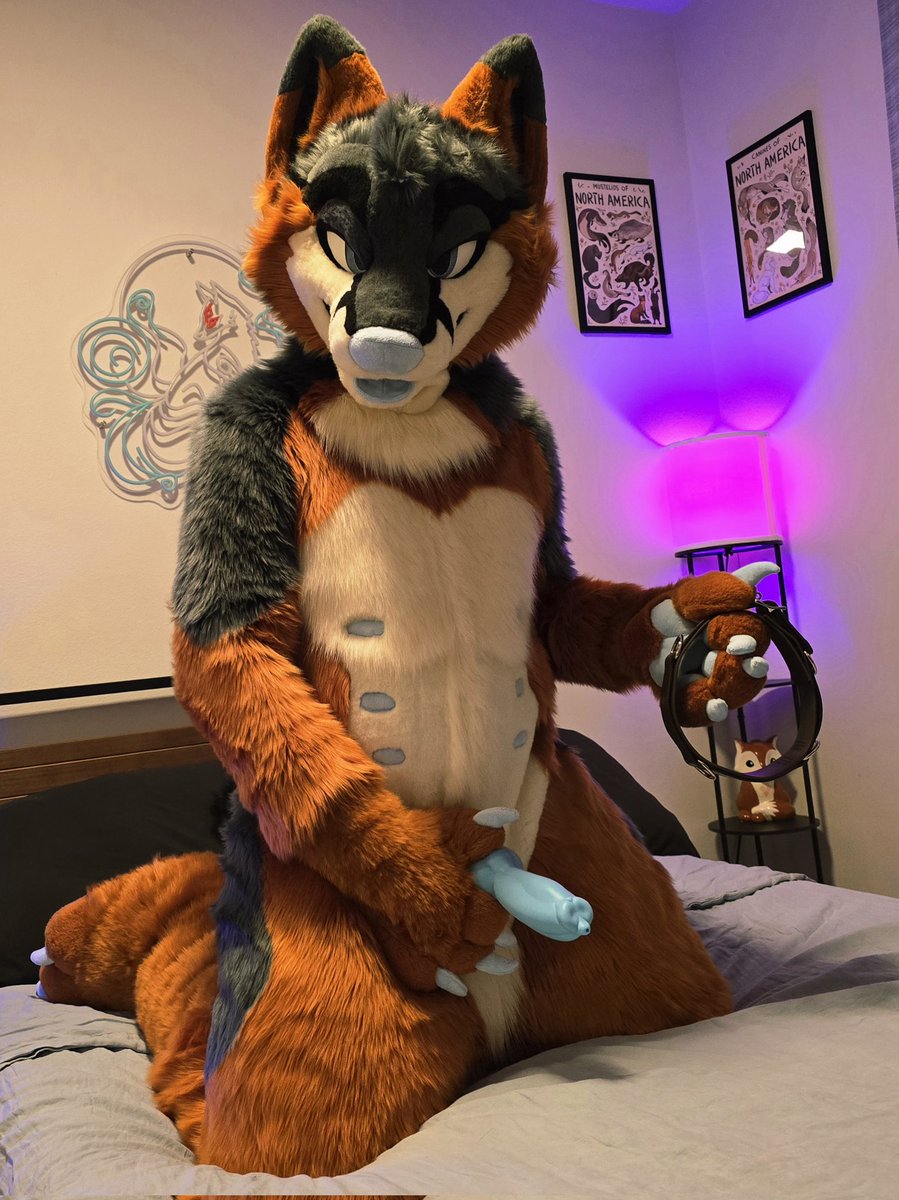 Rawkit 🚀 tweet media