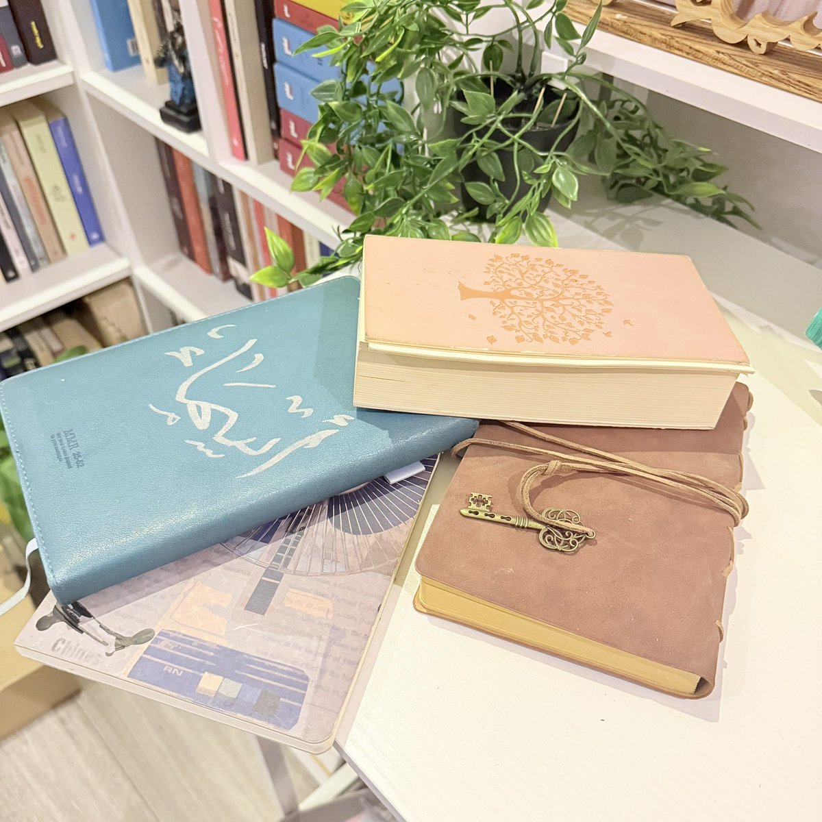 أسْمَاء | 📚 tweet media