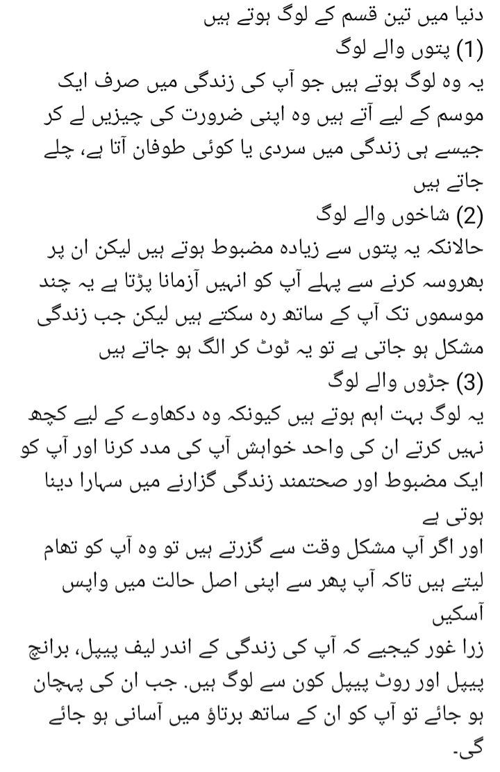 shagufta tweet media