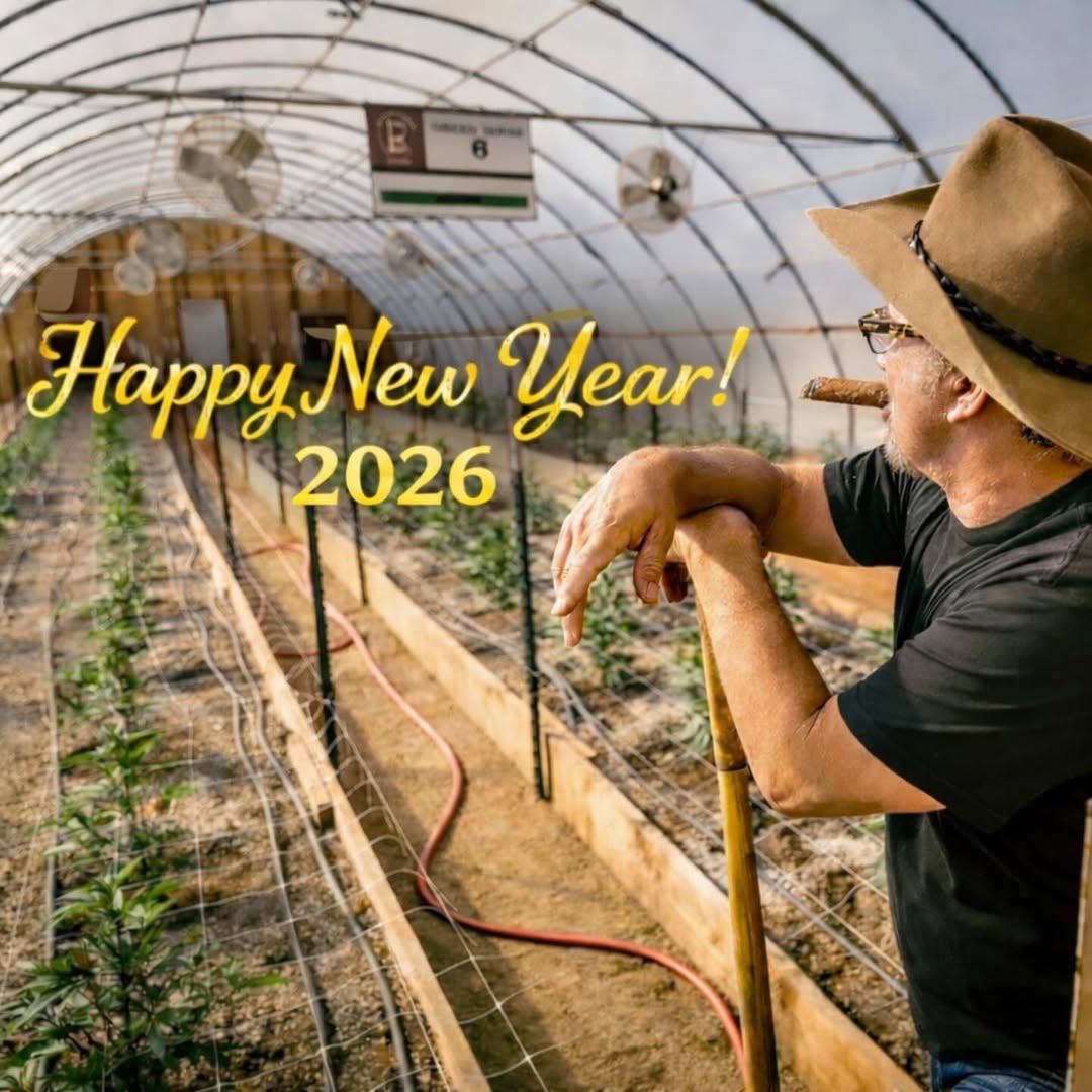 Happy new year everyone 🫡