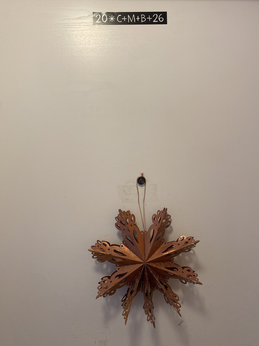 Sonia Zuccaro tweet media