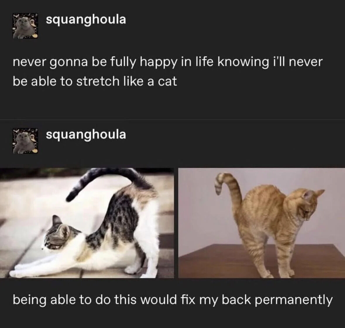 WholesomeMemes (@wholesomememe) on Twitter photo 