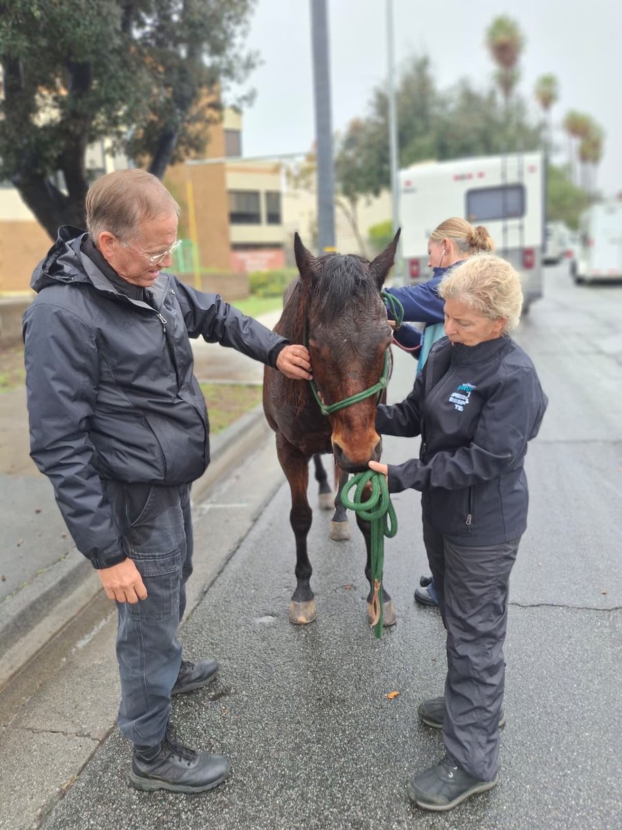 San Diego Humane Society tweet media
