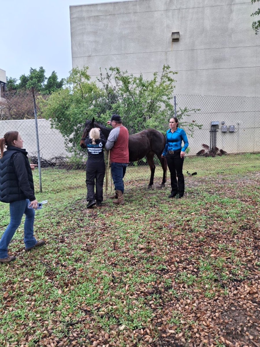 San Diego Humane Society tweet media