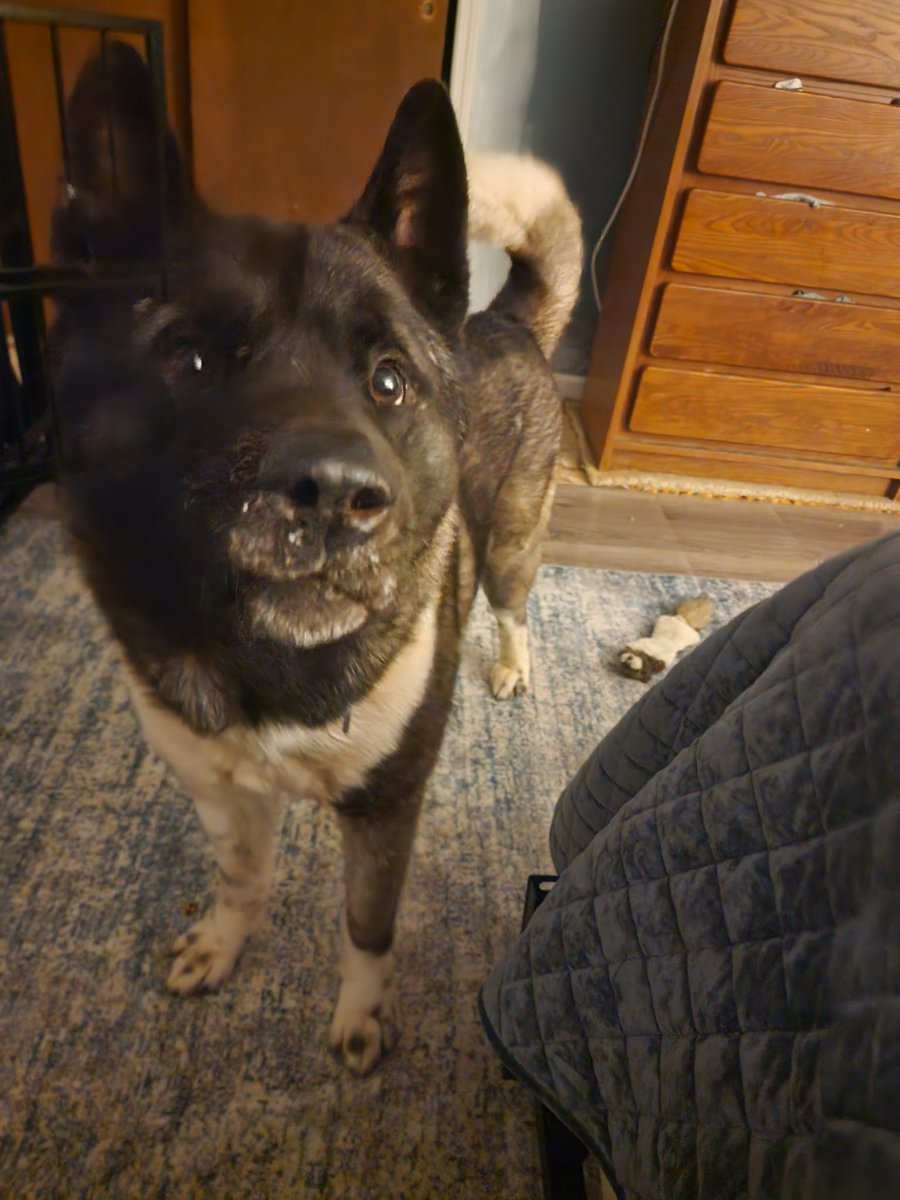 <a href="/D_ChicuD/">Dianna Davidson</a> <a href="/Change/">Change.org</a> Hi, thanks for pledging for MUDSKIPPER ID 242420. We Pound Hounds pulled this dog. You can abide by your pledge here: poundhoundsresq.org/donate $50