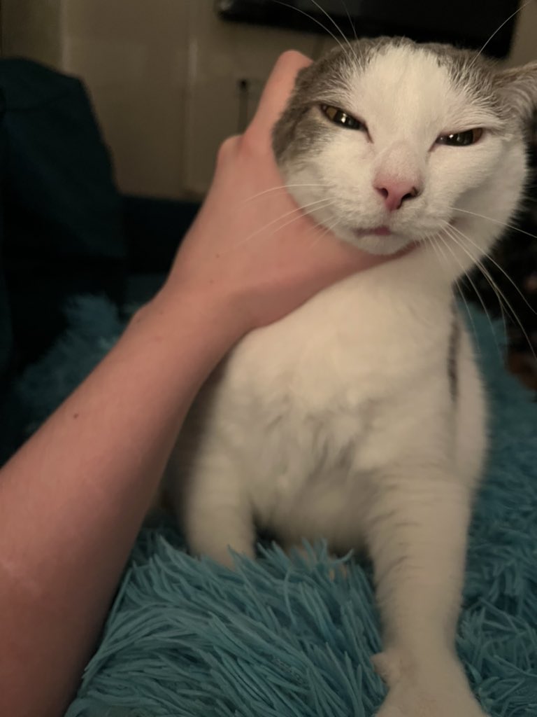 ProceduralHokum (@omsooqchan) on Twitter photo 