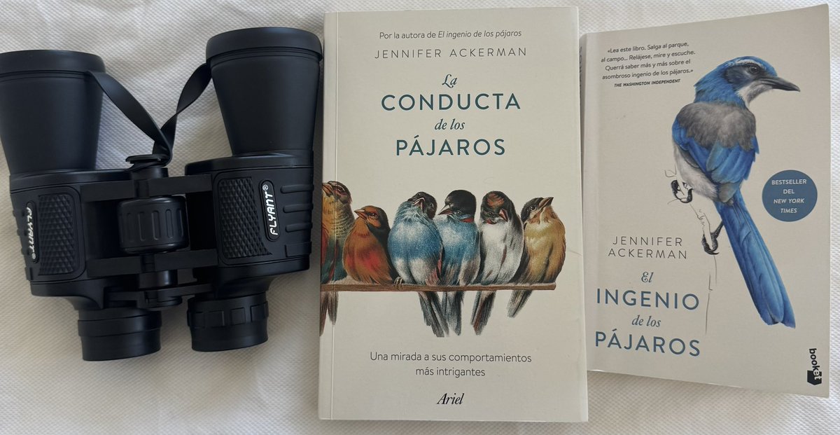 Francisco Barbosa tweet media