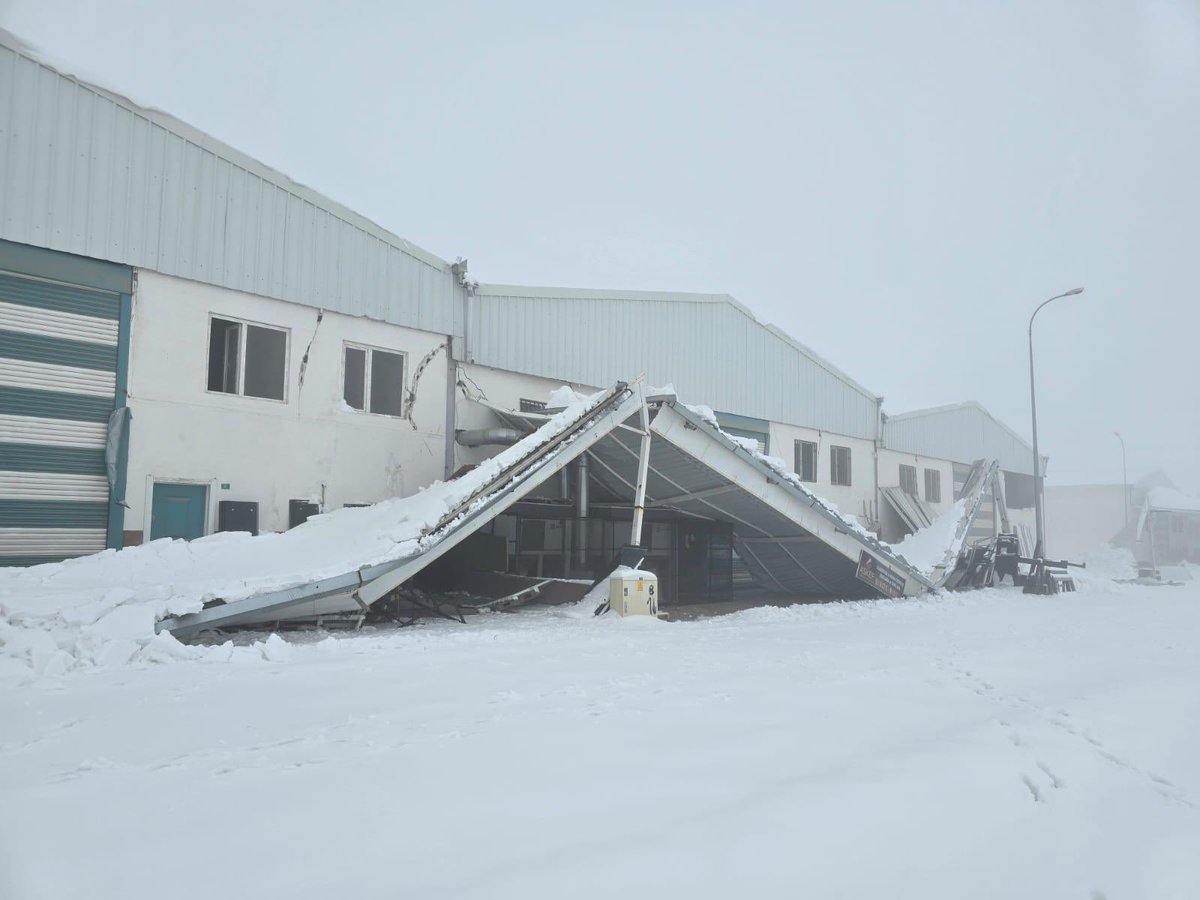 Mehmet Doğan Yetim tweet media