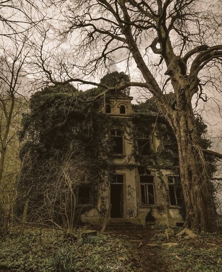 ZAFlRANASIR's tweet image. cr: house of hollow by krystal sutherland