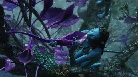 Avatar 3: Fire and Ash tweet media