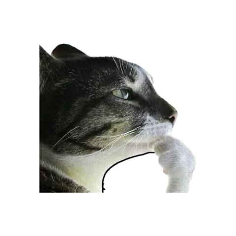 Debería comenzar ya los streams o esperarme a que esté en Texas…