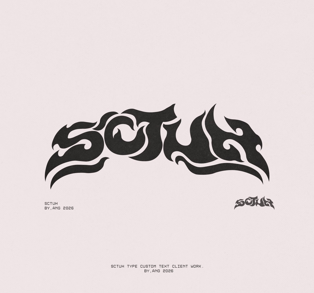 byang______'s tweet photo. SCTUH Client Type. https://t.co/seuLGsD1Cn