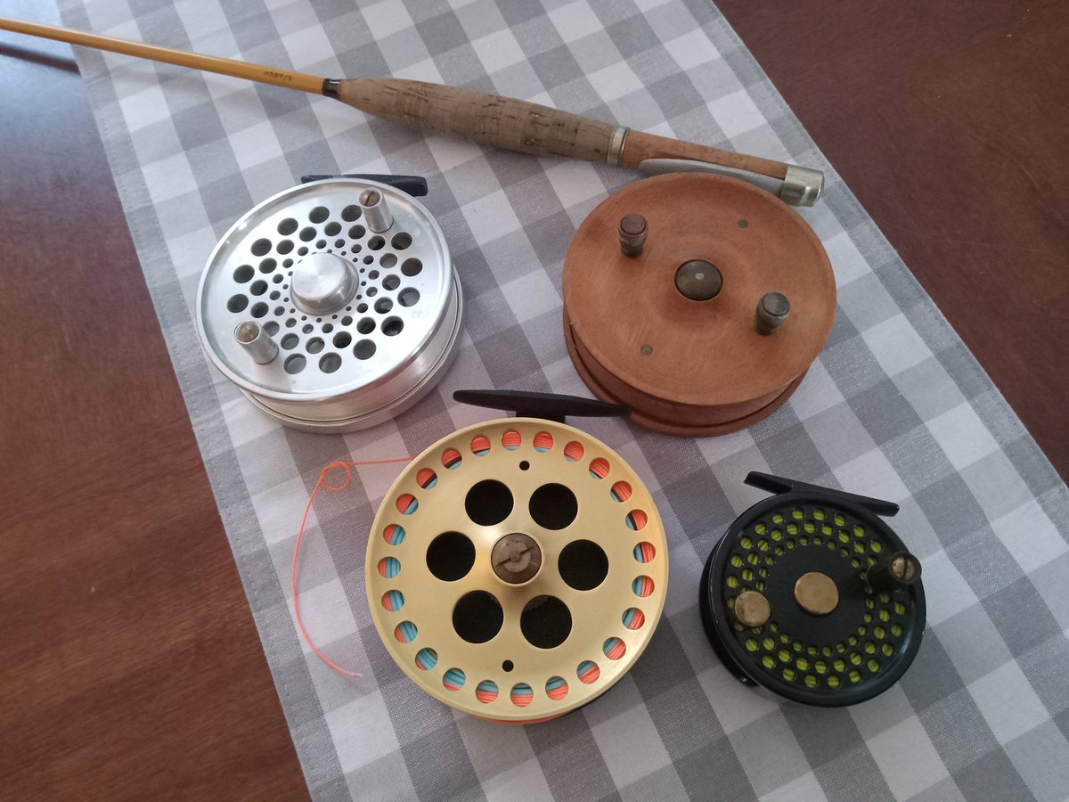 Let's Go Fishin' tweet media