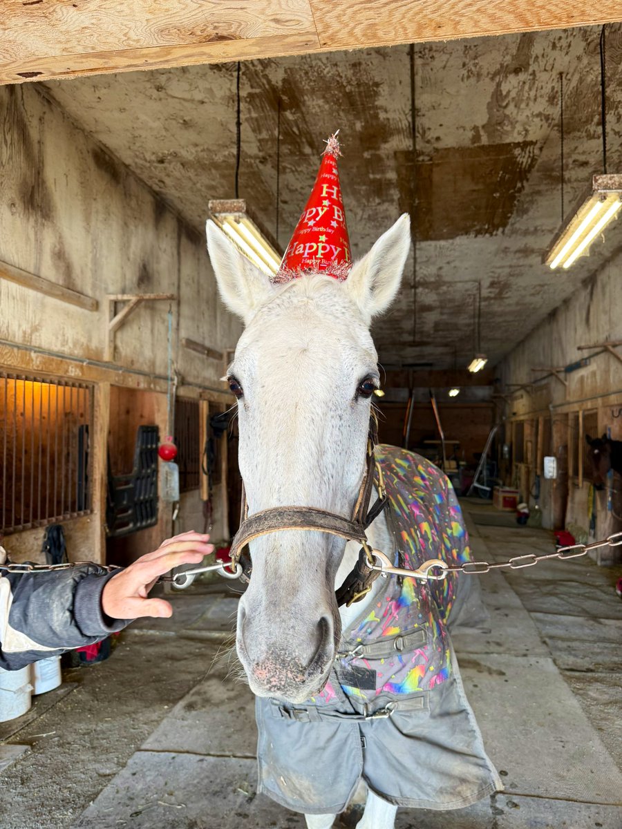 marymcdermott15's tweet photo. I officially have a 22 year old and a 10 year old π«Άπ»π₯Ήπ΄π¦
#nitetrain #reignofhonor #YearOfTheHorse https://t.co/uhKcJ2AGE2