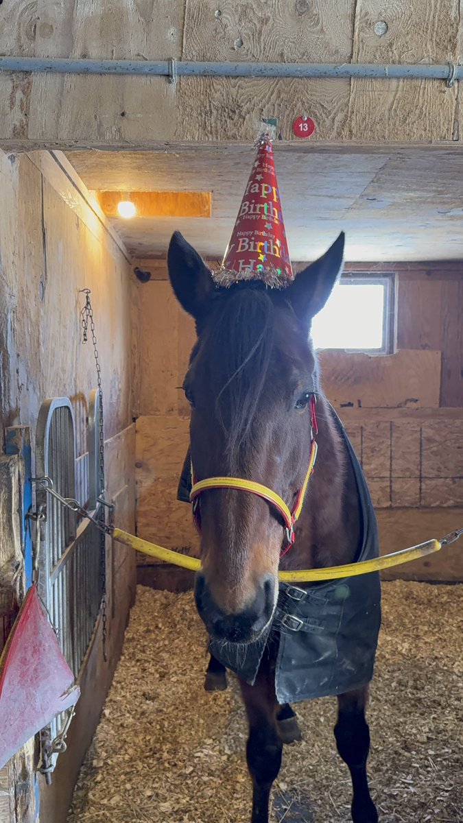 marymcdermott15's tweet photo. I officially have a 22 year old and a 10 year old π«Άπ»π₯Ήπ΄π¦
#nitetrain #reignofhonor #YearOfTheHorse https://t.co/uhKcJ2AGE2