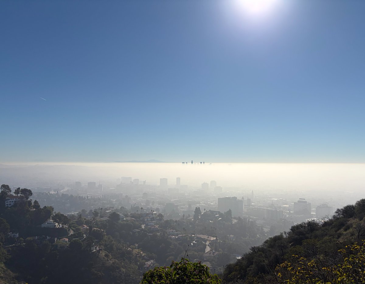 Funing Li tweet media