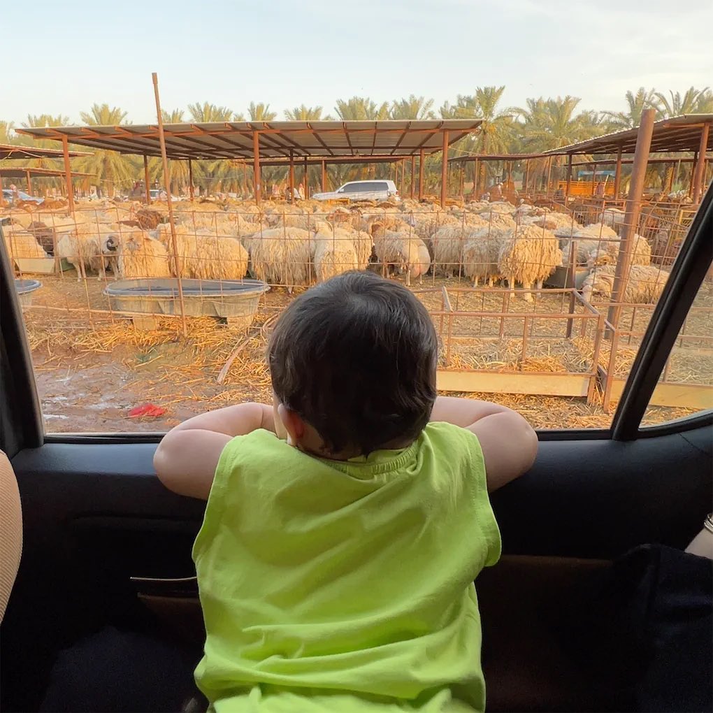 الحمدلله 🤍