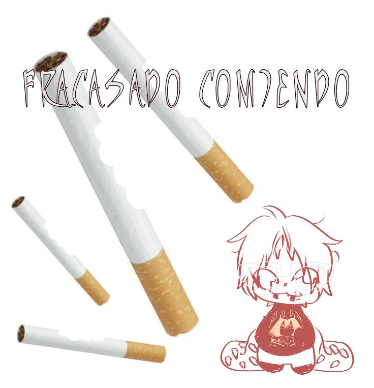 Primer post del año