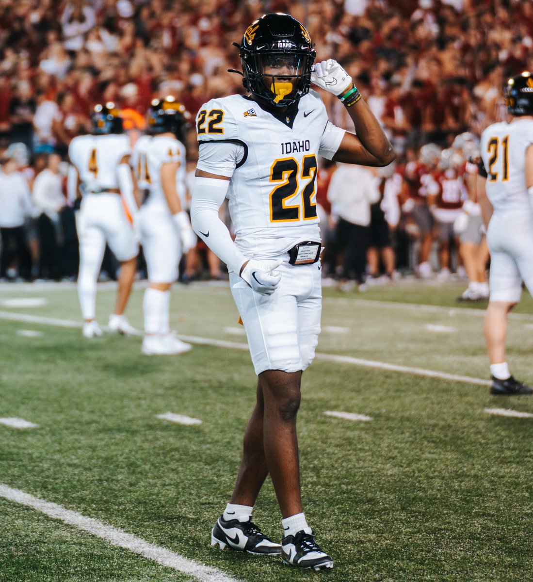 Patrick Harkness tweet media