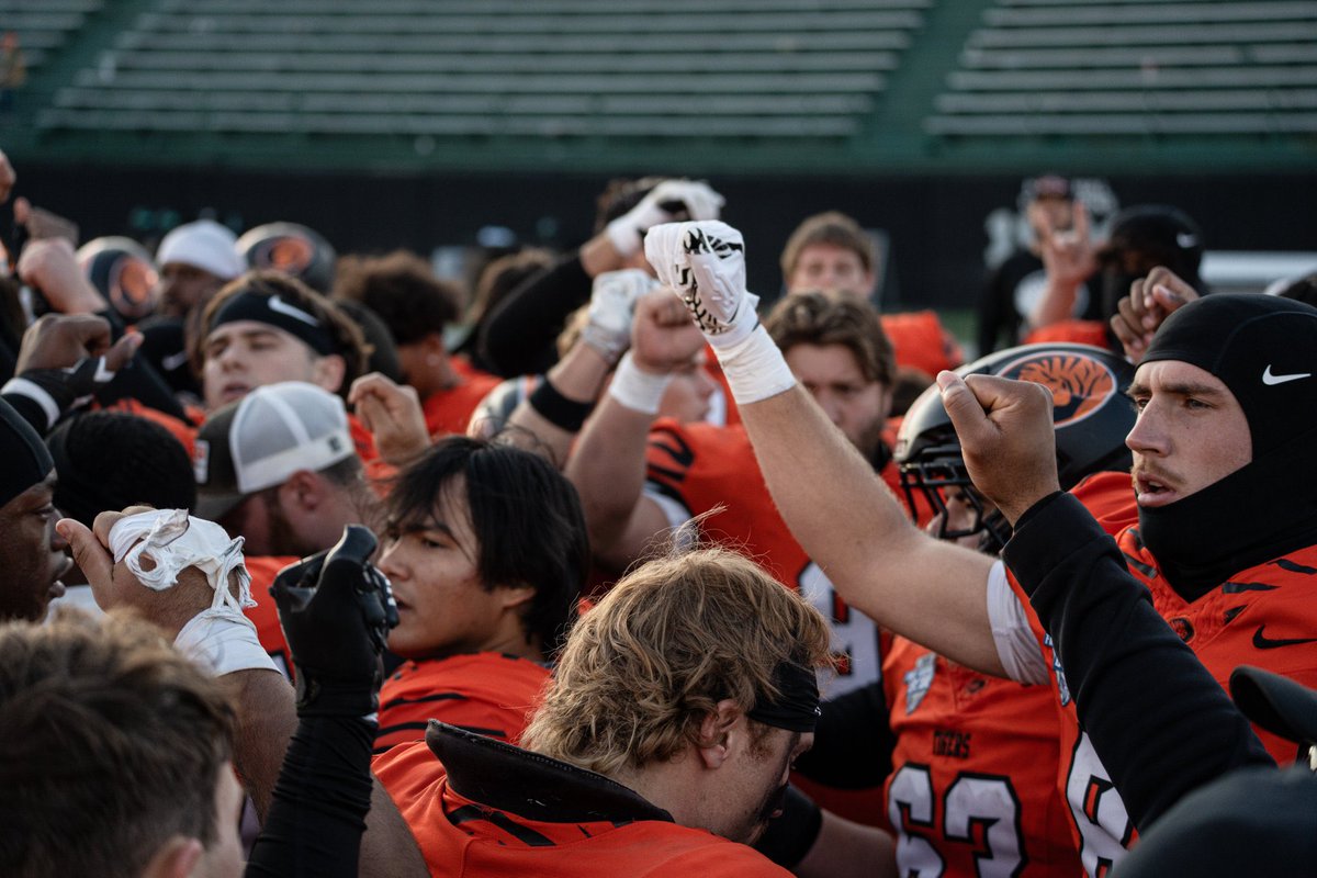 Jack Mitchell tweet media