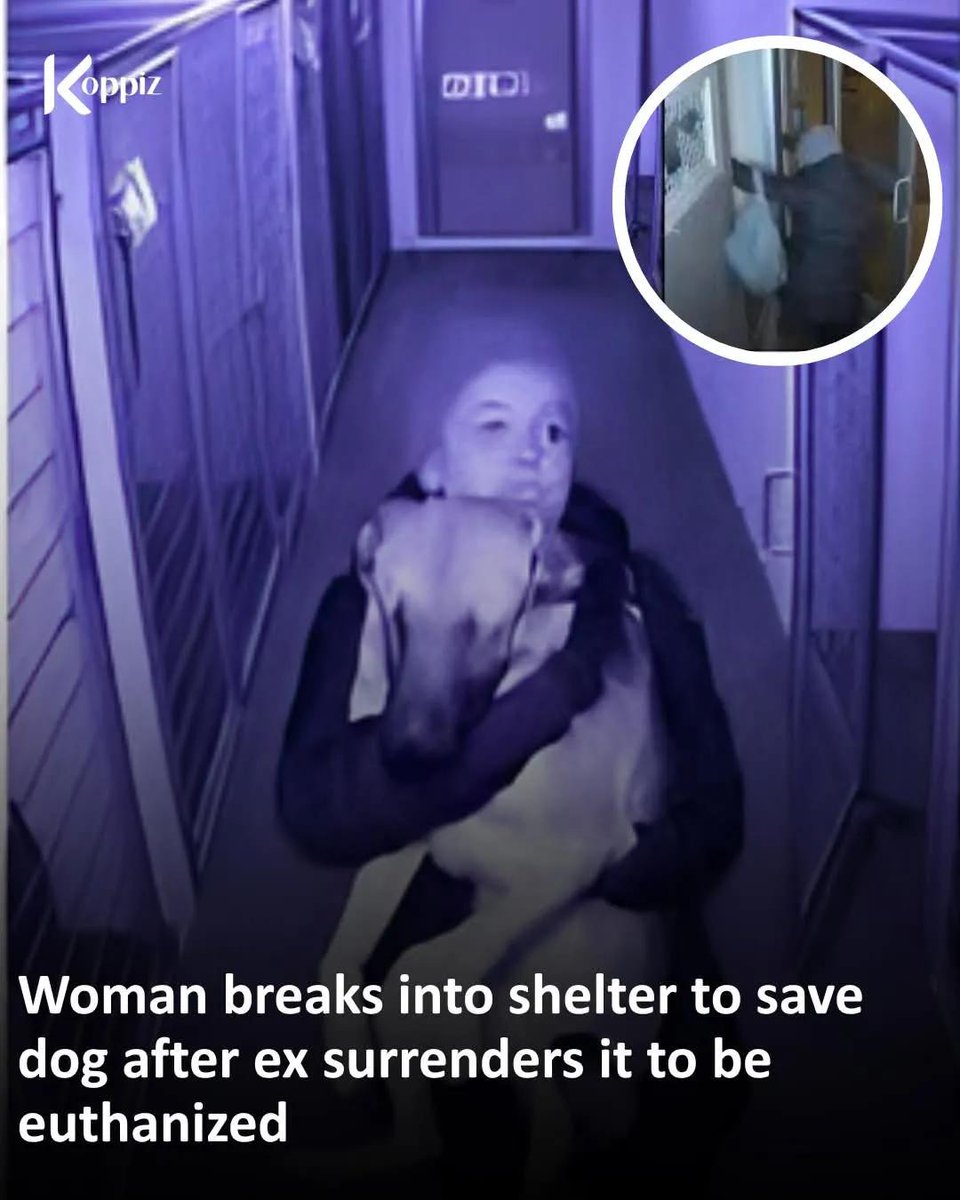 itsme_urstruly's tweet photo. She is a hero 👏👏 https://t.co/7Pgpuv9ACW