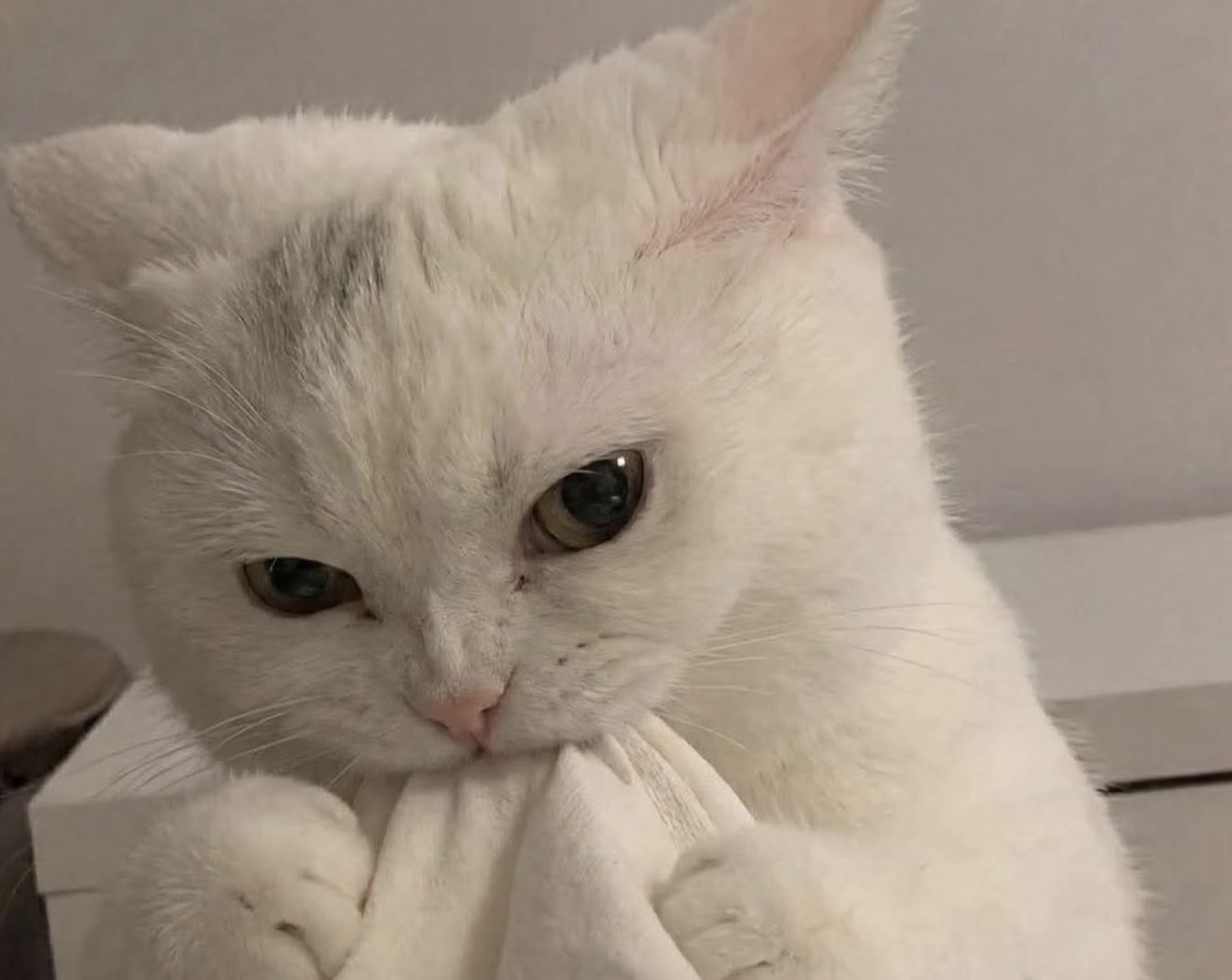 Yo aguantándome las ganas de contestar mal: