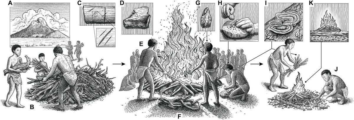 Earliest evidence for intentional cremation of human remains in Africa, 9500 years ago 
science.org/doi/10.1126/sc…