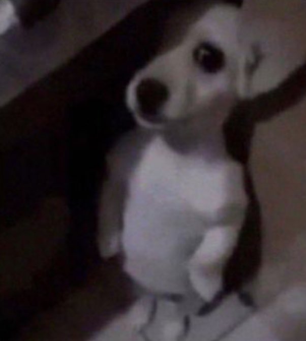 Sir MILLI💭💭 (@mr__milli) on Twitter photo 