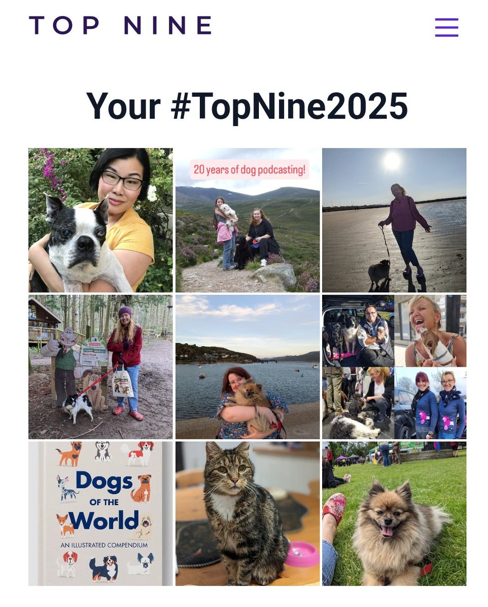 Julie -DogCast Radio tweet media