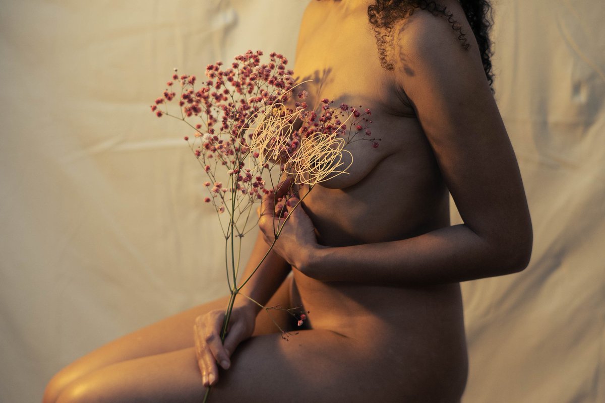 Aurea Nymphaea (@hauckpanka) on Twitter photo 