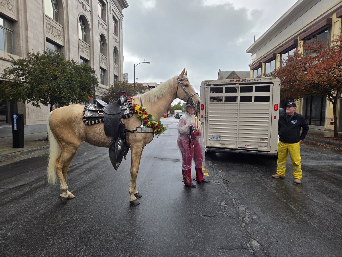San Diego Humane Society tweet media