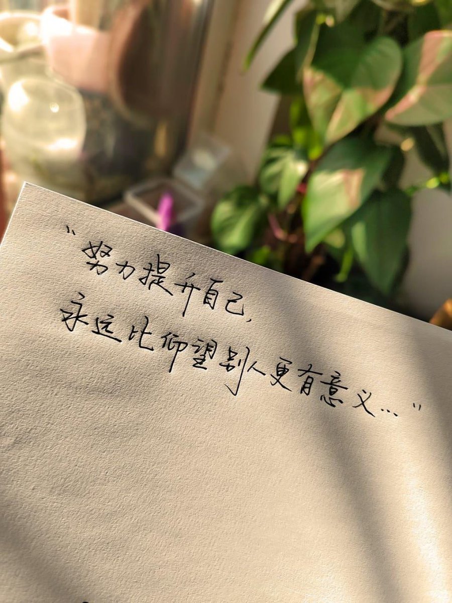 喜上眉梢 tweet media