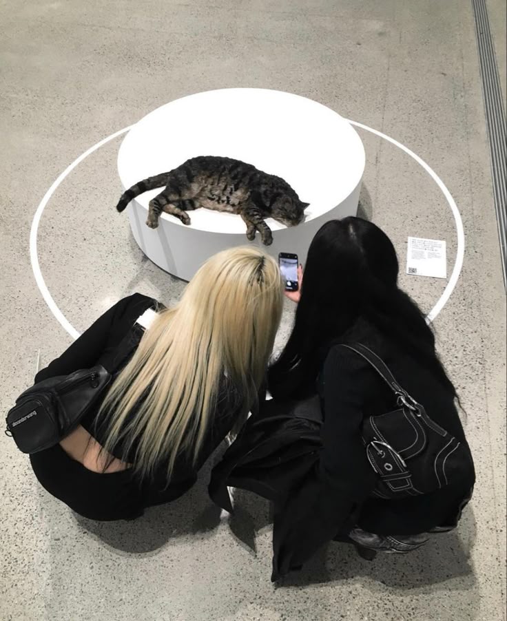 _latteworld's tweet image. Feliz aniversário para minha primeira bestie da vida @F1GHTERG1RL 🥳! você merece tudo de bom nessa vida. Que esse ano venham muito mais momentos nossos ✨