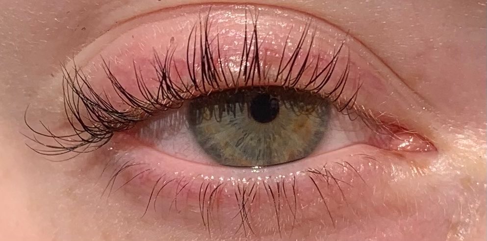 ˗ˏˋ 𝖘𝖎𝖔𝖗𝖆ˎˊ ˗ tweet media