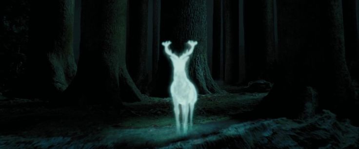 koalamcfly's tweet photo. L'aesthetic di questo film è MAGNIFICA #HarryPotter https://t.co/ntXjIRNOue