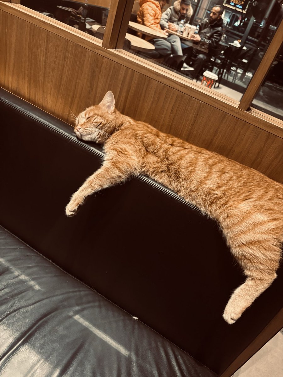 Şu şekilde rahat bir uyku istiyorum.