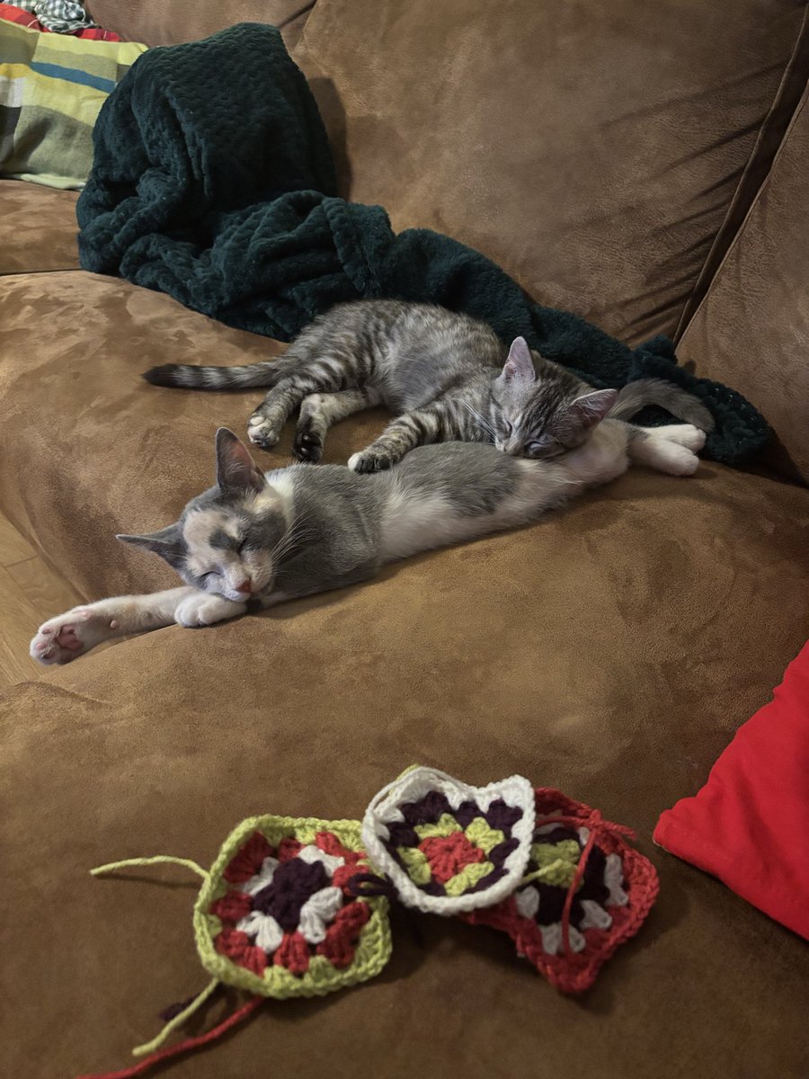 62. diena, turpinu tamborēt segu un esmu tajā posmā, kad gribu ātrāk pabeigt, lai varu tapināt kaut ko citu. 167 jau gatavi, vēl 54 kvadrātiņi jāuztaisa.