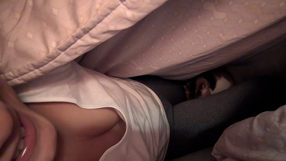 還是忘不了那個感覺

新年願望
2026年能再找個舒服關係窩著
至少學一次乖後應該不會再暈船啦
希望如此