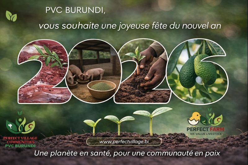 Perfect Village Communitie P.V.C Burundi tweet media