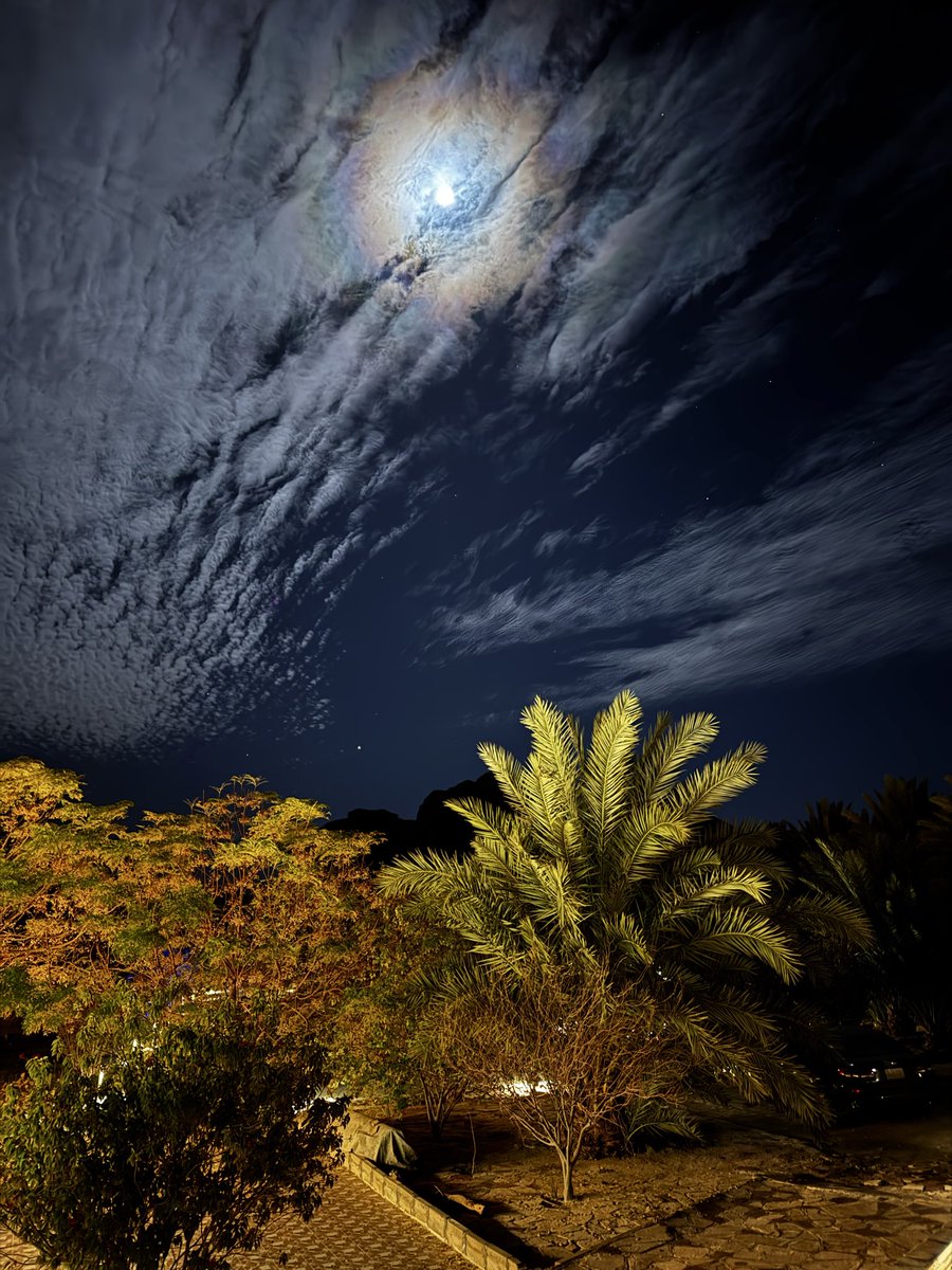 فـــواز القحطاني tweet media