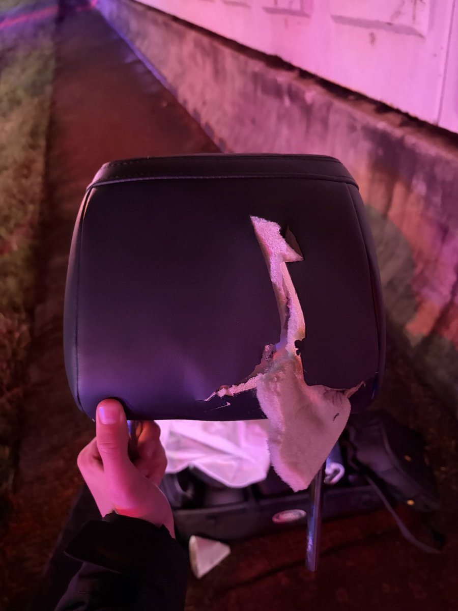 #24🦅 Damon Gochneaur tweet media