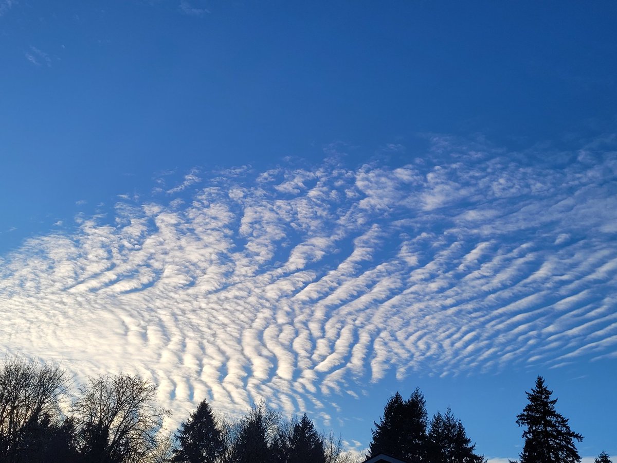 Happy new year! 🎉