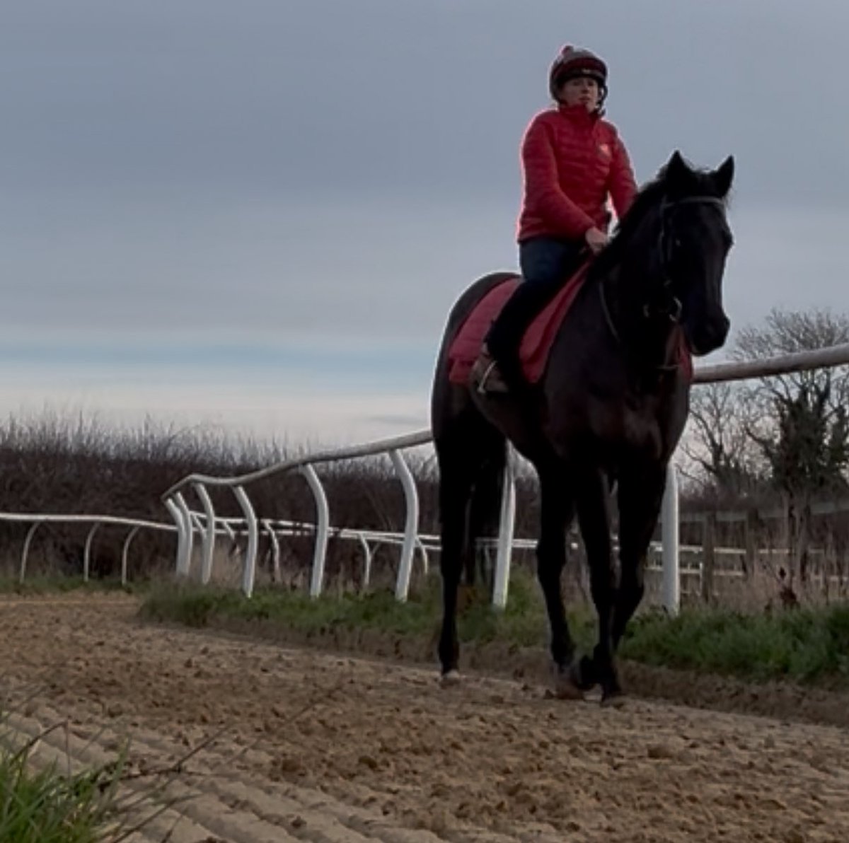 Just me and Bongo ❤️❤️❤️