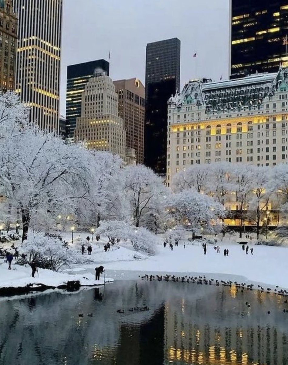 WORLD 2026 🌊 tweet media